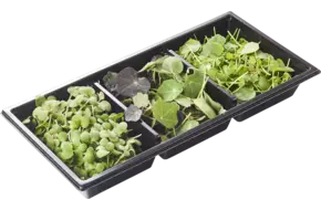 Pittige cress trio 45gr
